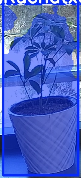 TREE-000011_20260623_105139.jpg