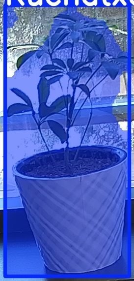 TREE-000011_20260623_105249.jpg