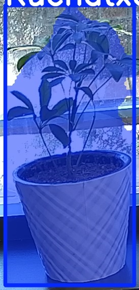 TREE-000011_20260623_105359.jpg