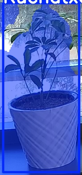 TREE-000011_20260623_105509.jpg