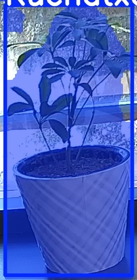 TREE-000011_20260623_105618.jpg