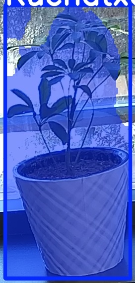 TREE-000011_20260623_105727.jpg