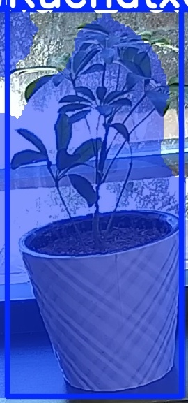 TREE-000011_20260623_105838.jpg