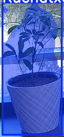 TREE-000011_20260623_105948.jpg