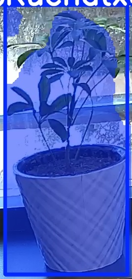TREE-000011_20260623_110210.jpg
