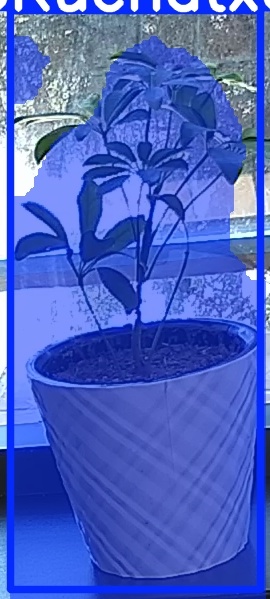 TREE-000011_20260623_110319.jpg