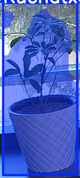 TREE-000011_20260623_110429.jpg