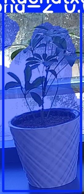 TREE-000011_20260623_110542.jpg