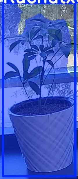 TREE-000011_20260623_110655.jpg