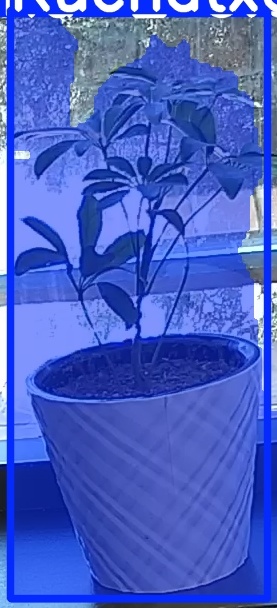 TREE-000011_20260623_110804.jpg