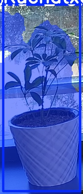 TREE-000011_20260623_110913.jpg