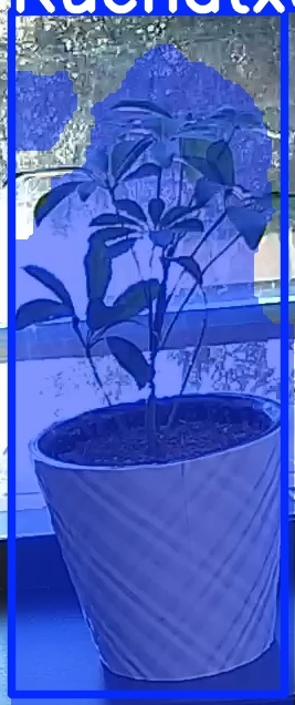 TREE-000011_20260623_111031.jpg