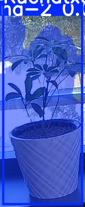 TREE-000011_20260623_111140.jpg