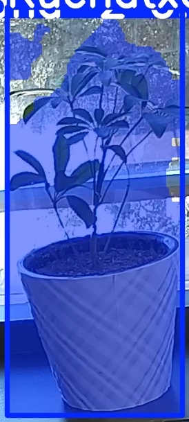 TREE-000011_20260623_111247.jpg