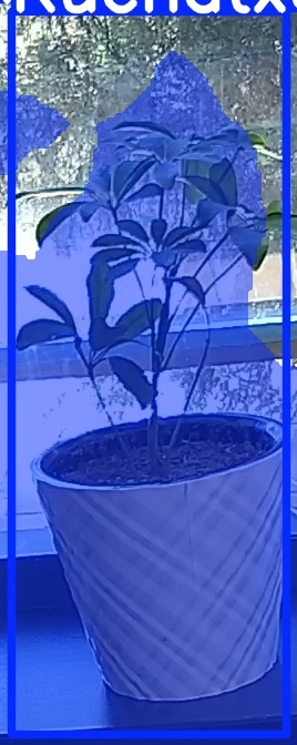 TREE-000011_20260623_111408.jpg