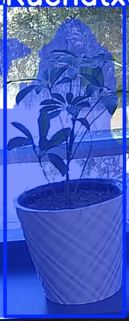 TREE-000011_20260623_111519.jpg