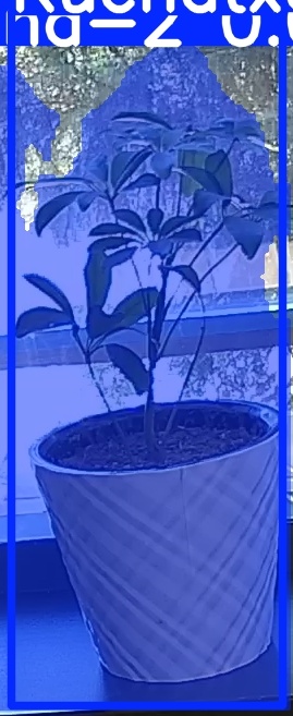 TREE-000011_20260623_111629.jpg