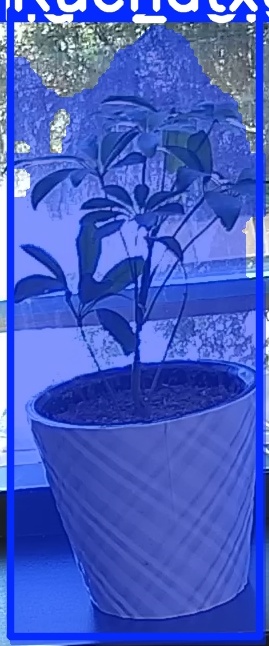 TREE-000011_20260623_111646.jpg