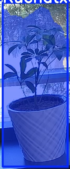 TREE-000011_20260623_111707.jpg