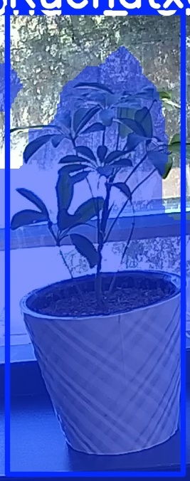 TREE-000011_20260623_111749.jpg