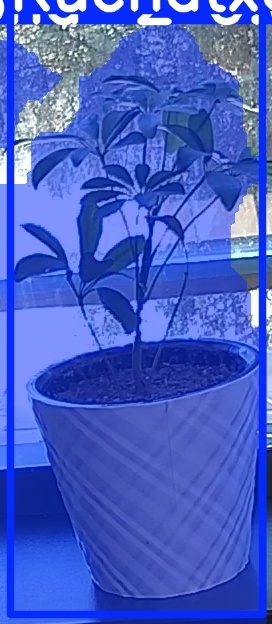 TREE-000011_20260623_111900.jpg