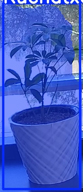 TREE-000011_20260623_112011.jpg