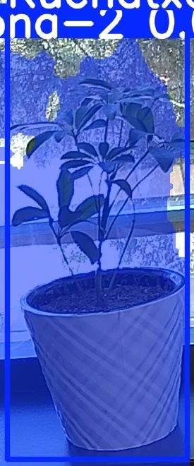 TREE-000011_20260623_112121.jpg