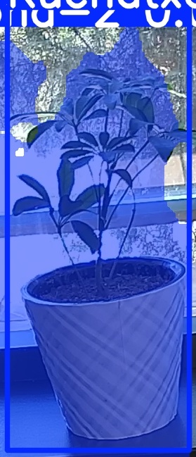 TREE-000011_20260623_112231.jpg
