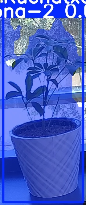 TREE-000011_20260623_112342.jpg