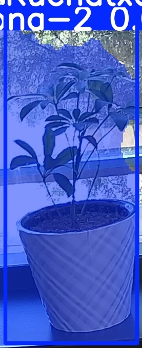 TREE-000011_20260623_112452.jpg