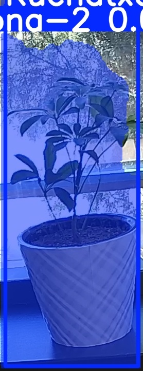 TREE-000011_20260623_112920.jpg