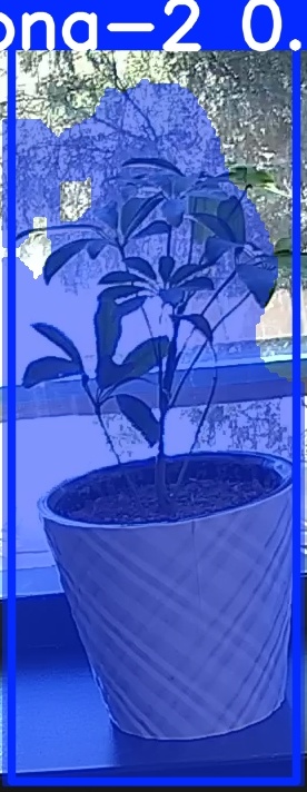 TREE-000011_20260623_113208.jpg