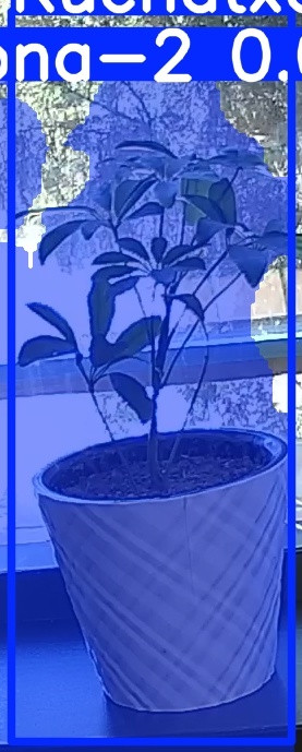 TREE-000011_20260623_113238.jpg