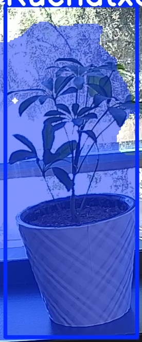 TREE-000011_20260623_114901.jpg