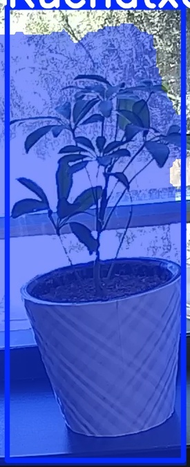 TREE-000011_20260623_115021.jpg
