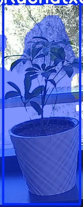 TREE-000011_20260623_115131.jpg