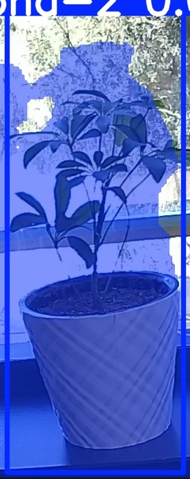 TREE-000011_20260623_115242.jpg