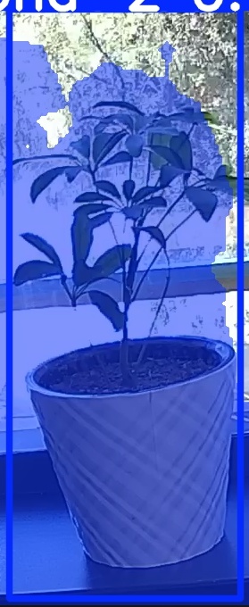 TREE-000011_20260623_115501.jpg