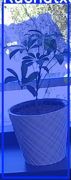 TREE-000011_20260623_115610.jpg