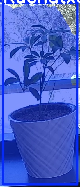 TREE-000011_20260623_115721.jpg