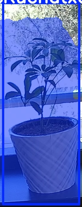 TREE-000011_20260623_115831.jpg
