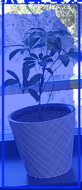 TREE-000011_20260623_115942.jpg