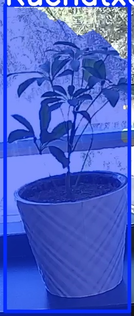 TREE-000011_20260623_120052.jpg