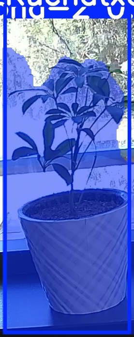TREE-000011_20260623_120202.jpg