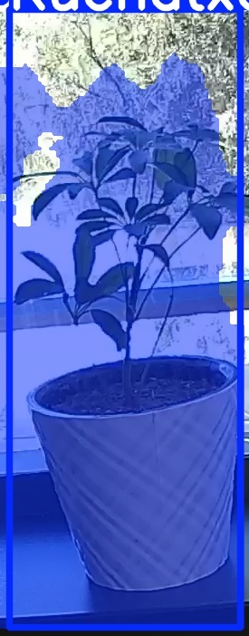 TREE-000011_20260623_120313.jpg