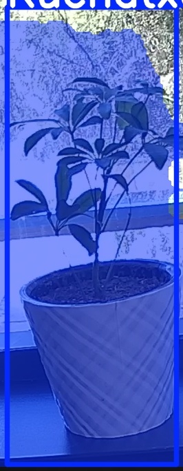 TREE-000011_20260623_120644.jpg