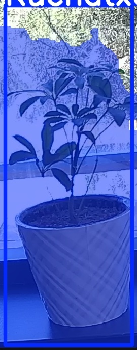 TREE-000011_20260623_120802.jpg