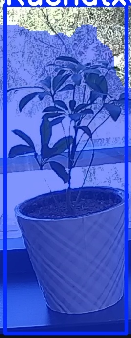 TREE-000011_20260623_120815.jpg