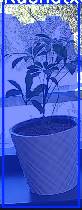 TREE-000011_20260623_121153.jpg