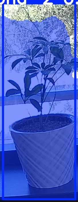 TREE-000011_20260623_121305.jpg